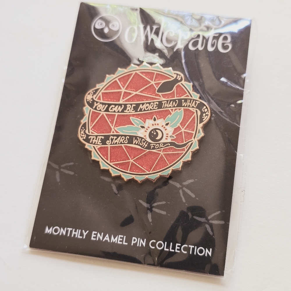 NWT Owlcrate Go Your Own Way Pin